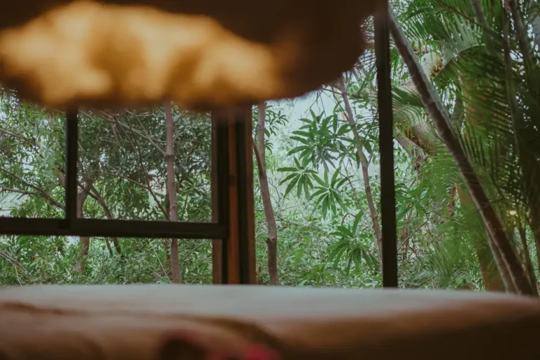 Best Eco-Friendly Hotels