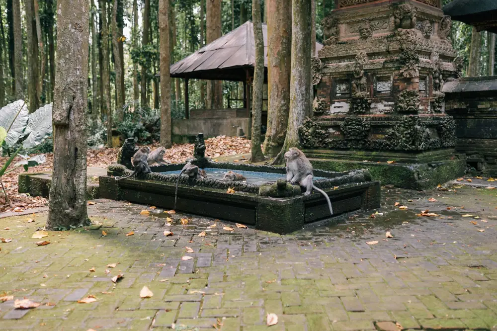 Best Hotels in Bali Ubud