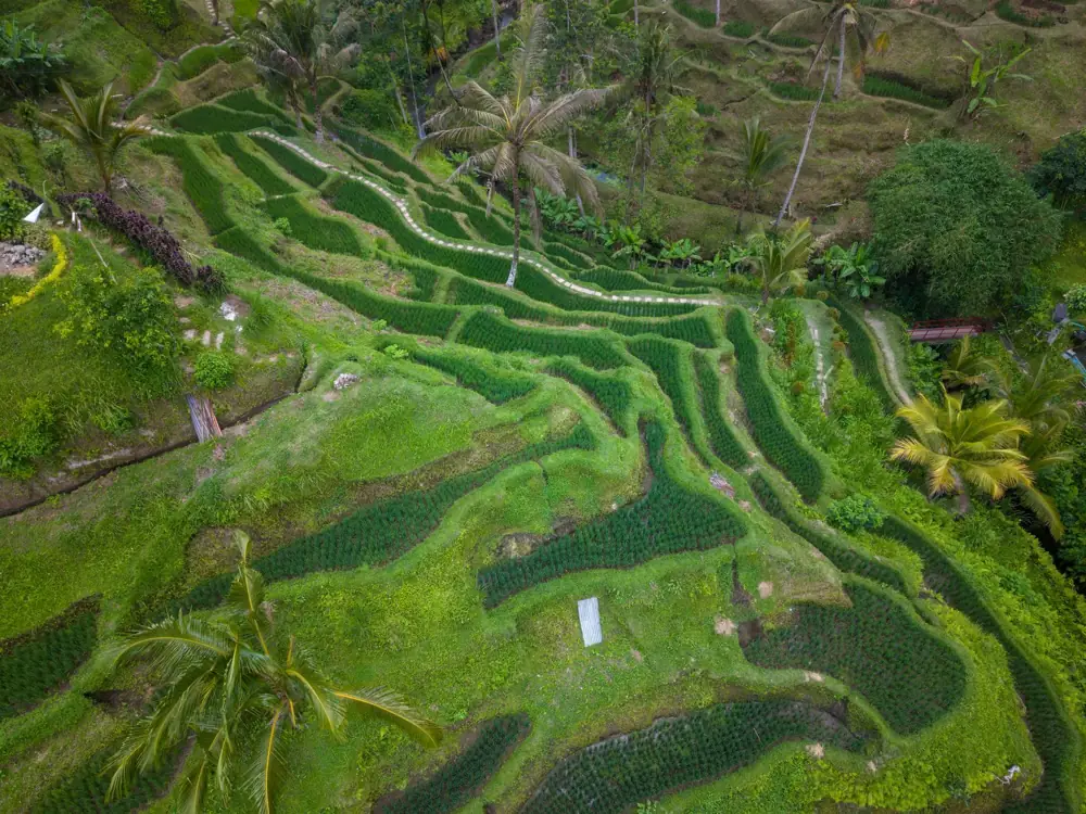 Best Luxury Hotels in Bali